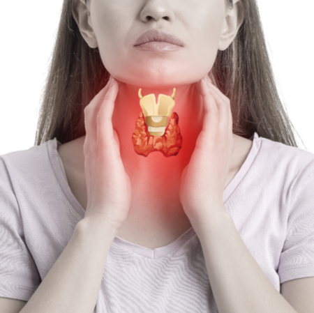 Especialidade em distúrbios da tireóide da endocrinologista Dra. Mônica Thimoteo